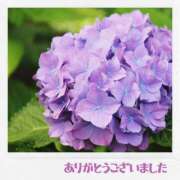 ヒメ日記 2026/06/12 20:11 投稿 村上 誘惑マル秘ミセス
