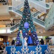 ヒメ日記 2024/12/12 11:52 投稿 戸川 あなたに逢いたくて