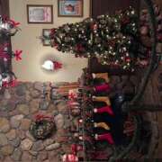 ヒメ日記 2024/12/26 21:38 投稿 戸川 あなたに逢いたくて