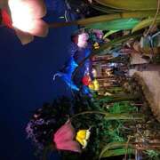 ヒメ日記 2025/01/07 13:29 投稿 戸川 あなたに逢いたくて