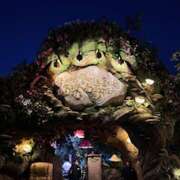 ヒメ日記 2025/01/09 19:55 投稿 戸川 あなたに逢いたくて