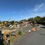 ヒメ日記 2025/03/16 11:51 投稿 戸川 あなたに逢いたくて