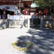 ヒメ日記 2025/04/01 19:50 投稿 戸川 あなたに逢いたくて