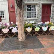 ヒメ日記 2025/04/23 20:47 投稿 戸川 あなたに逢いたくて