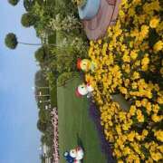 ヒメ日記 2025/06/19 04:00 投稿 戸川 あなたに逢いたくて