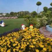 ヒメ日記 2025/06/19 04:07 投稿 戸川 あなたに逢いたくて