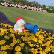 ヒメ日記 2025/06/19 04:11 投稿 戸川 あなたに逢いたくて