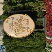 ヒメ日記 2025/06/26 00:12 投稿 戸川 あなたに逢いたくて