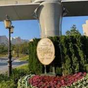 ヒメ日記 2025/06/27 16:17 投稿 戸川 あなたに逢いたくて