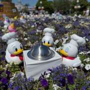 ヒメ日記 2025/06/28 23:50 投稿 戸川 あなたに逢いたくて