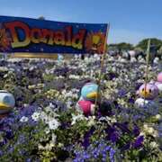 ヒメ日記 2025/07/03 19:34 投稿 戸川 あなたに逢いたくて