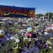 ヒメ日記 2025/07/03 19:37 投稿 戸川 あなたに逢いたくて