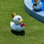 ヒメ日記 2025/07/10 02:08 投稿 戸川 あなたに逢いたくて