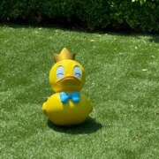 ヒメ日記 2025/07/10 23:01 投稿 戸川 あなたに逢いたくて