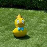 ヒメ日記 2025/07/10 23:07 投稿 戸川 あなたに逢いたくて