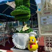 ヒメ日記 2025/07/25 19:34 投稿 戸川 あなたに逢いたくて