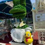 ヒメ日記 2025/07/25 19:43 投稿 戸川 あなたに逢いたくて