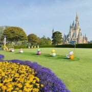 ヒメ日記 2025/08/01 20:07 投稿 戸川 あなたに逢いたくて