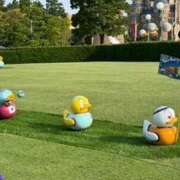 ヒメ日記 2025/08/02 23:27 投稿 戸川 あなたに逢いたくて