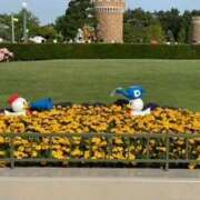 ヒメ日記 2025/08/02 23:37 投稿 戸川 あなたに逢いたくて