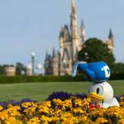 ヒメ日記 2025/08/05 12:13 投稿 戸川 あなたに逢いたくて