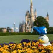 ヒメ日記 2025/08/05 12:17 投稿 戸川 あなたに逢いたくて