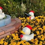 ヒメ日記 2025/08/08 19:24 投稿 戸川 あなたに逢いたくて