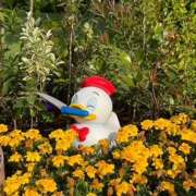 ヒメ日記 2025/08/09 02:16 投稿 戸川 あなたに逢いたくて