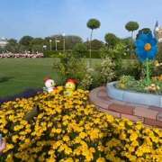 ヒメ日記 2025/08/09 02:20 投稿 戸川 あなたに逢いたくて