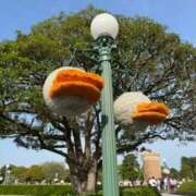 ヒメ日記 2025/08/09 02:27 投稿 戸川 あなたに逢いたくて