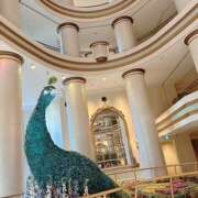 ヒメ日記 2025/08/19 20:15 投稿 戸川 あなたに逢いたくて