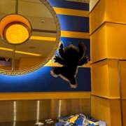 ヒメ日記 2025/08/27 23:49 投稿 戸川 あなたに逢いたくて