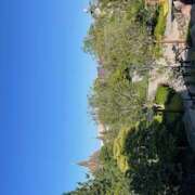 ヒメ日記 2025/08/31 03:32 投稿 戸川 あなたに逢いたくて