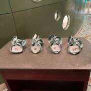 ヒメ日記 2025/09/15 19:43 投稿 戸川 あなたに逢いたくて