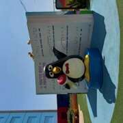 戸川 こんばんは あなたに逢いたくて