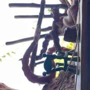 ヒメ日記 2025/12/16 19:34 投稿 戸川 あなたに逢いたくて