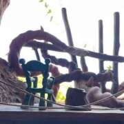 ヒメ日記 2025/12/16 19:41 投稿 戸川 あなたに逢いたくて