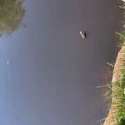 ヒメ日記 2025/12/19 03:45 投稿 戸川 あなたに逢いたくて