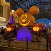 ヒメ日記 2026/02/05 20:17 投稿 戸川 あなたに逢いたくて