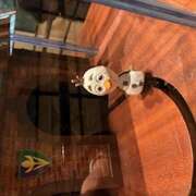 ヒメ日記 2026/02/13 23:32 投稿 戸川 あなたに逢いたくて