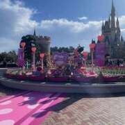 ヒメ日記 2026/03/05 20:40 投稿 戸川 あなたに逢いたくて