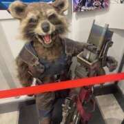 ヒメ日記 2026/03/15 12:27 投稿 戸川 あなたに逢いたくて