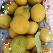 ヒメ日記 2024/12/18 12:20 投稿 優香-ゆうか 熟女10000円デリヘル 川崎