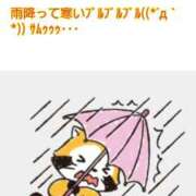 ヒメ日記 2025/03/05 07:52 投稿 優香-ゆうか 熟女10000円デリヘル 川崎