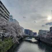 ヒメ日記 2025/04/05 21:49 投稿 優香-ゆうか 熟女10000円デリヘル 川崎