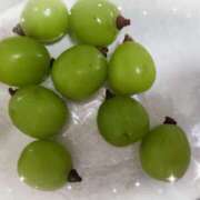 ヒメ日記 2025/09/15 10:25 投稿 優香-ゆうか 熟女10000円デリヘル 川崎