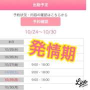 ヒメ日記 2023/10/24 22:23 投稿 白砂-しらす 熟女10000円デリヘル 川崎