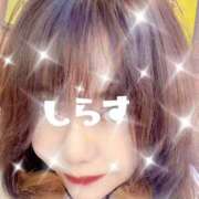 ヒメ日記 2024/12/15 14:02 投稿 白砂-しらす 熟女10000円デリヘル 川崎