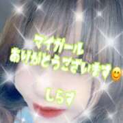 ヒメ日記 2024/12/25 07:30 投稿 白砂-しらす 熟女10000円デリヘル 川崎