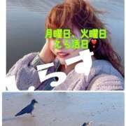 ヒメ日記 2025/03/22 07:30 投稿 白砂-しらす 熟女10000円デリヘル 川崎